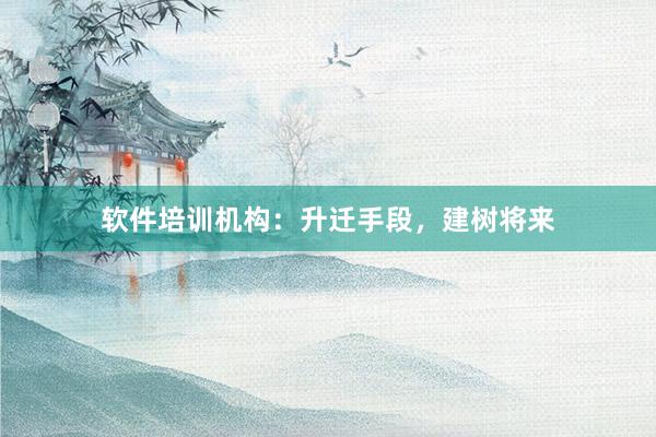 软件培训机构：升迁手段，建树将来