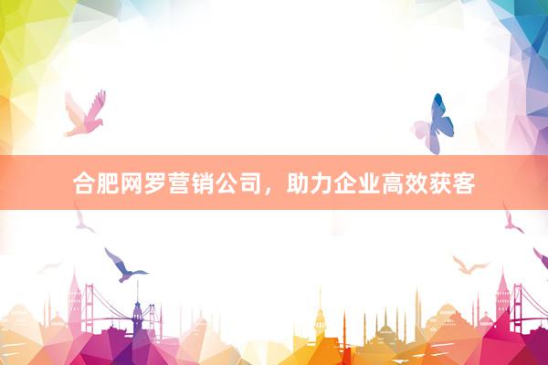 合肥网罗营销公司，助力企业高效获客