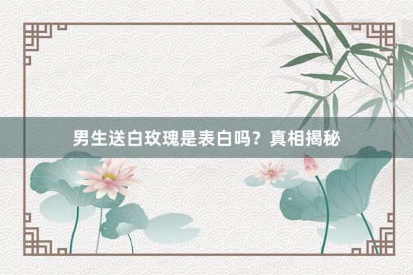 男生送白玫瑰是表白吗？真相揭秘