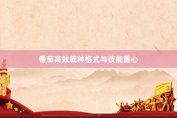 番茄高效栽种格式与技能重心